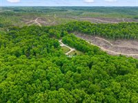 2585 Hazel Patch Road, East Bernstadt, KY 40729
