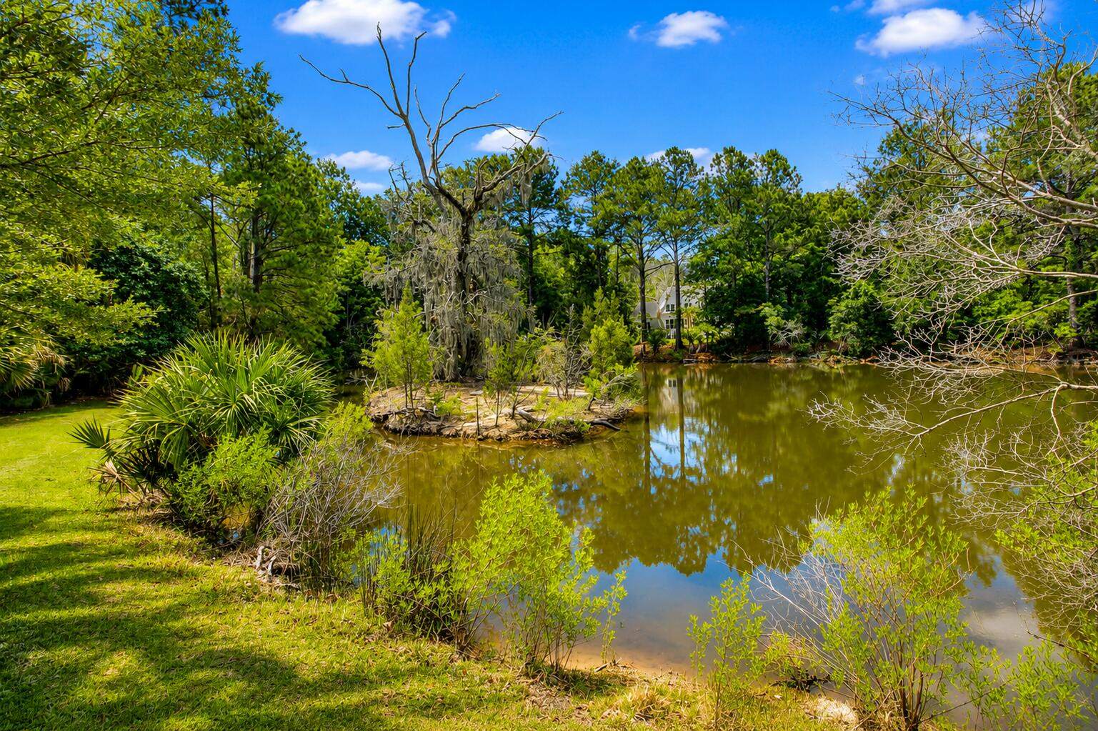 3379 Shagbark Circle, Mount Pleasant, SC 29466