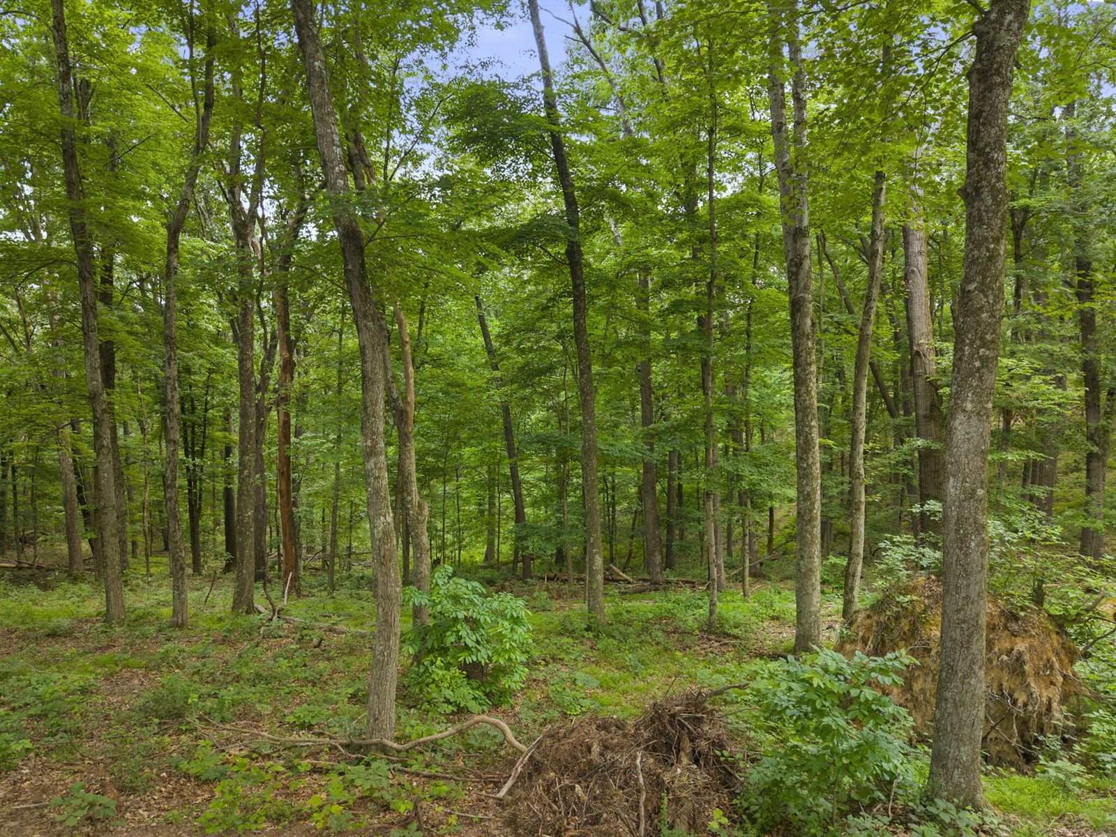 18573 Huggins Road, Logan, OH 43138