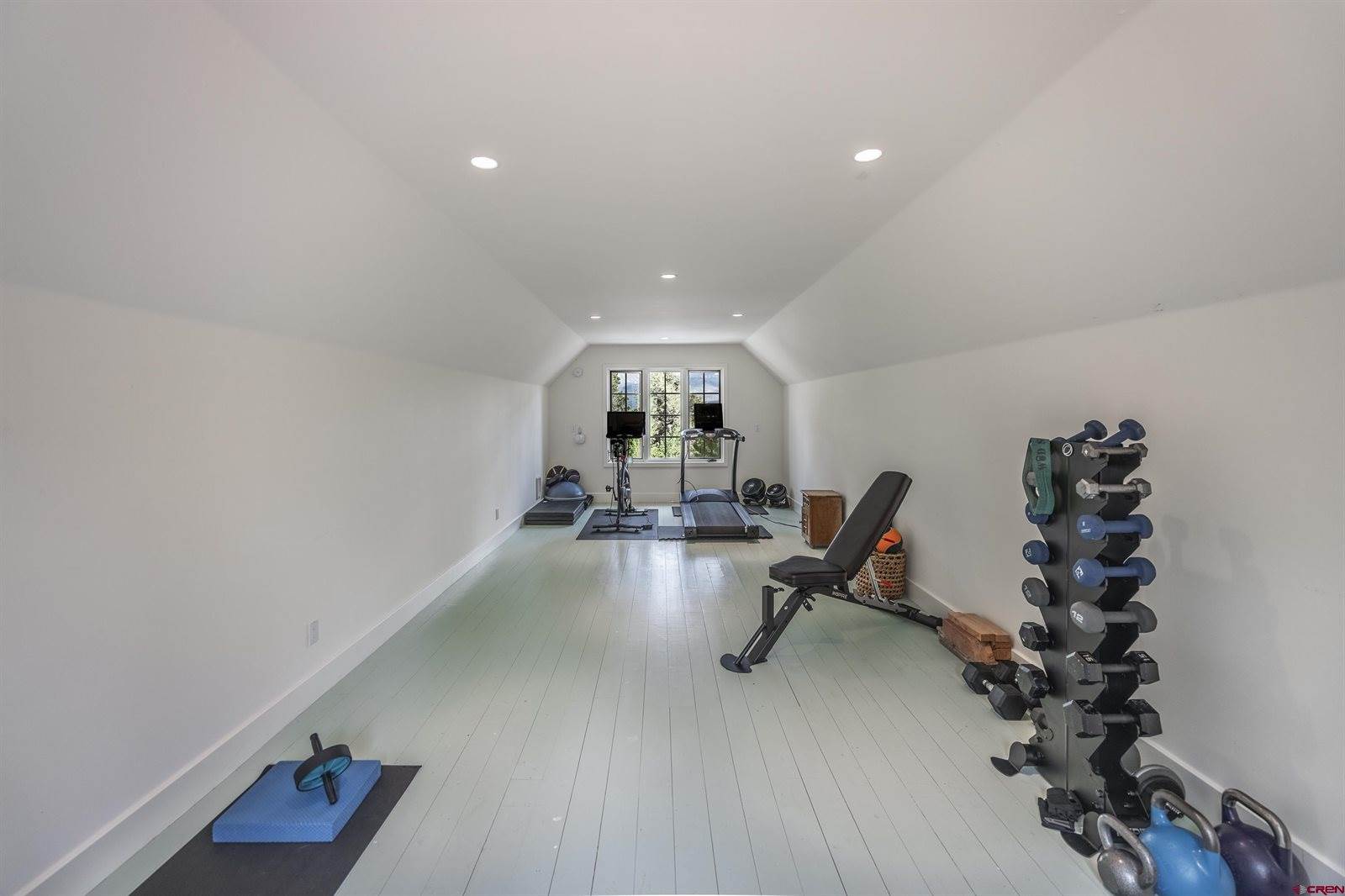 847 Pleasant Valley Drive, Ridgway, CO 81432
