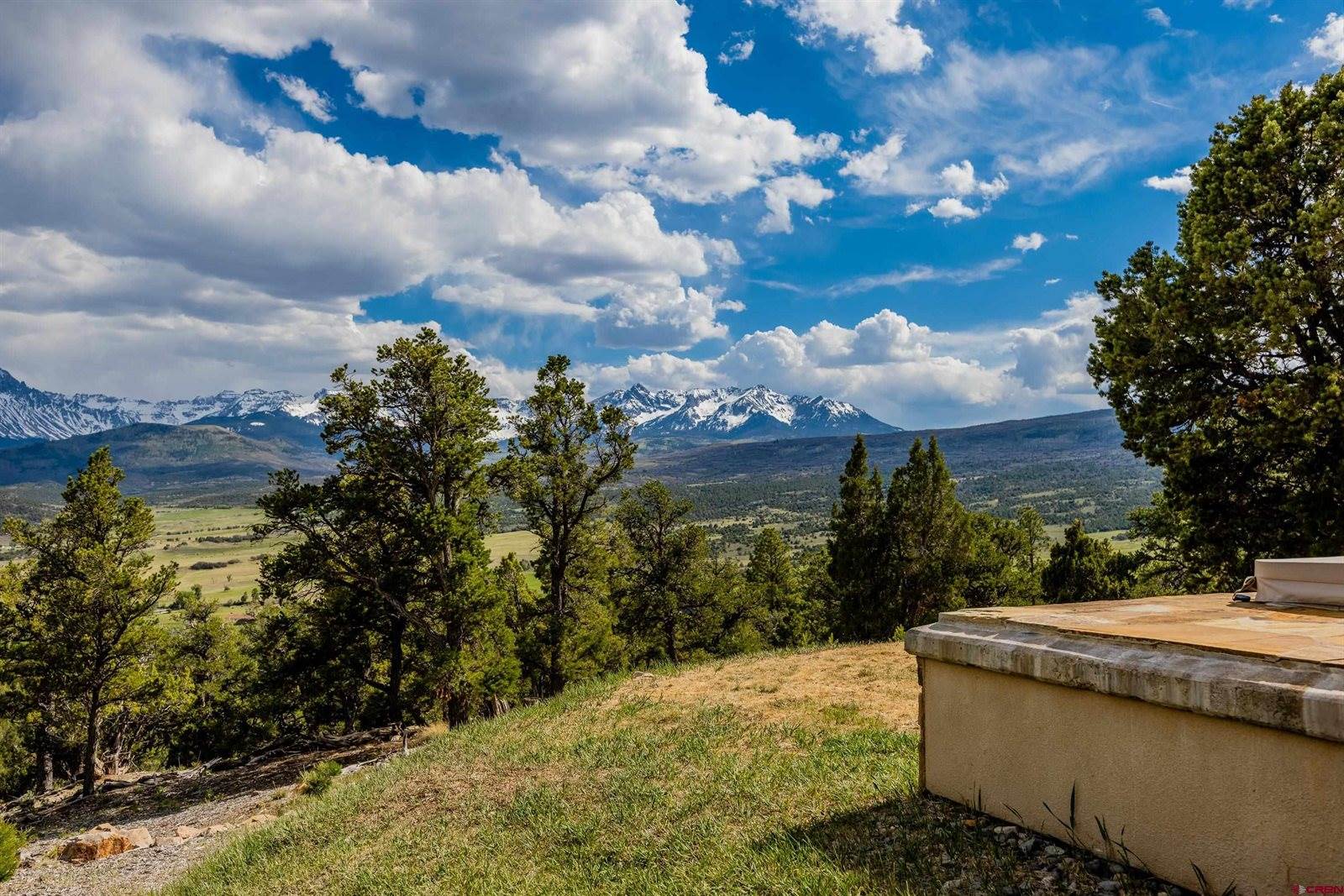 847 Pleasant Valley Drive, Ridgway, CO 81432