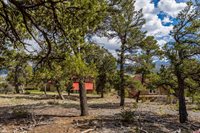 847 Pleasant Valley Drive, Ridgway, CO 81432