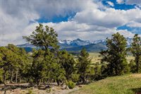847 Pleasant Valley Drive, Ridgway, CO 81432
