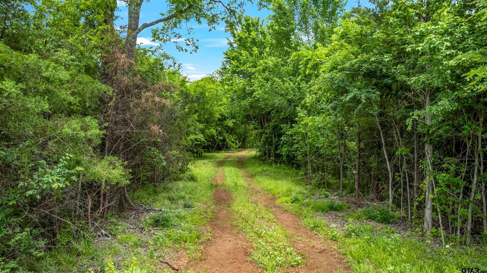 11710 FM 344 W, Bullard, TX 75757