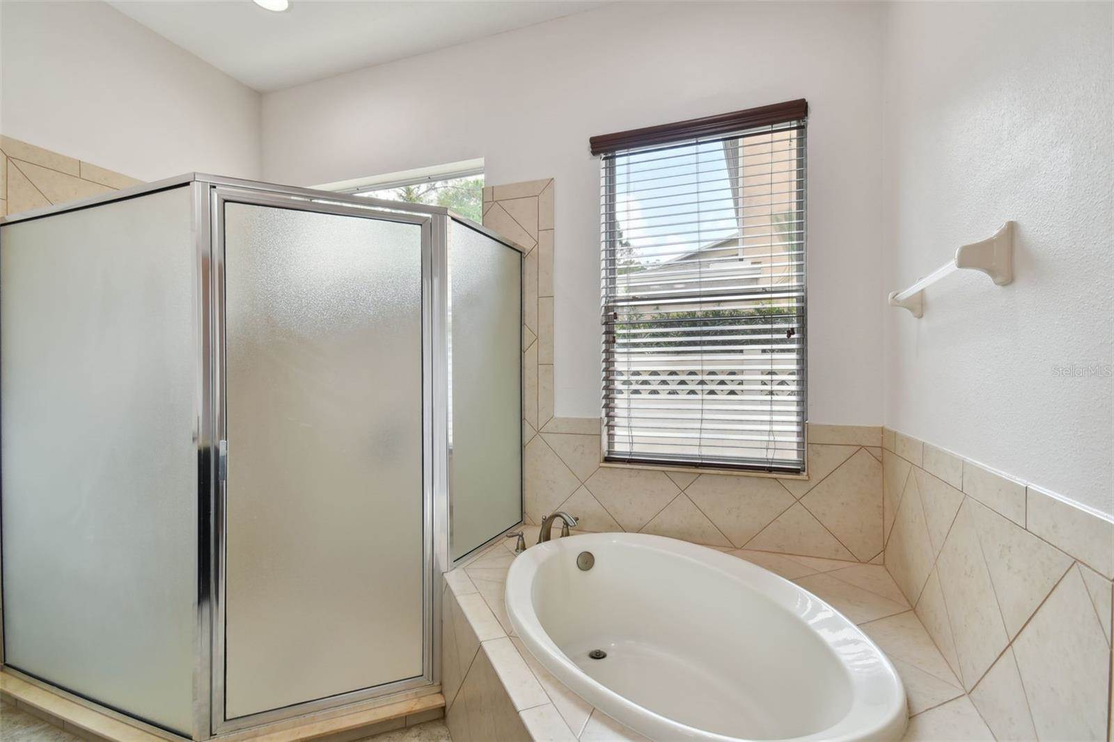 27806 Autumn Breeze Circle, Wesley Chapel, FL 33544