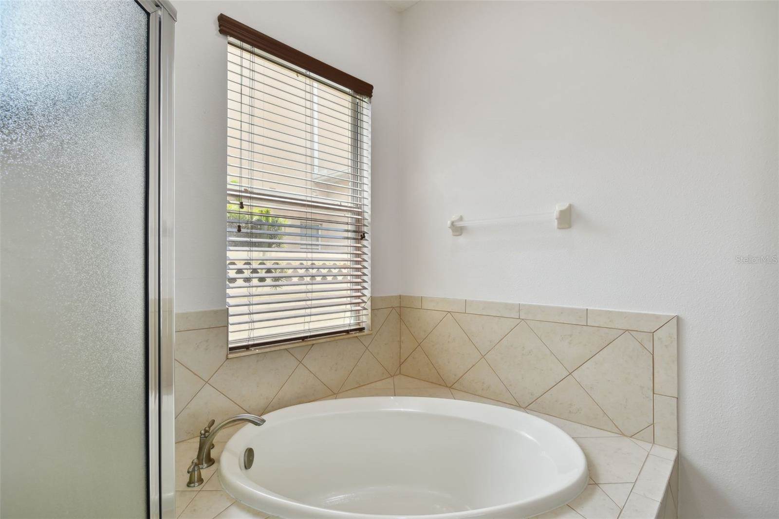 27806 Autumn Breeze Circle, Wesley Chapel, FL 33544
