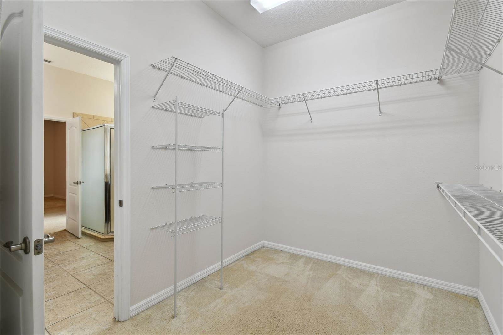 27806 Autumn Breeze Circle, Wesley Chapel, FL 33544