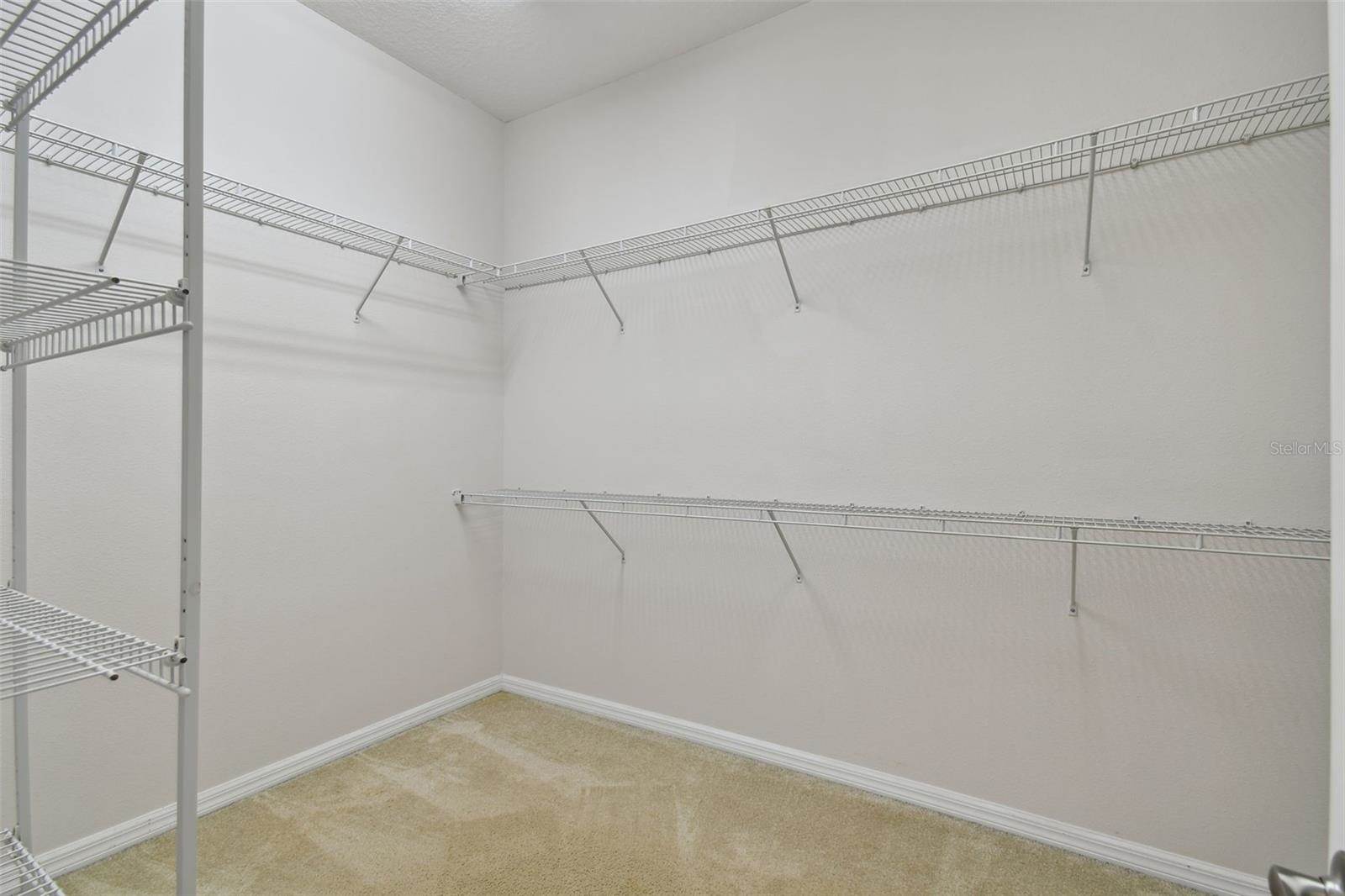 27806 Autumn Breeze Circle, Wesley Chapel, FL 33544