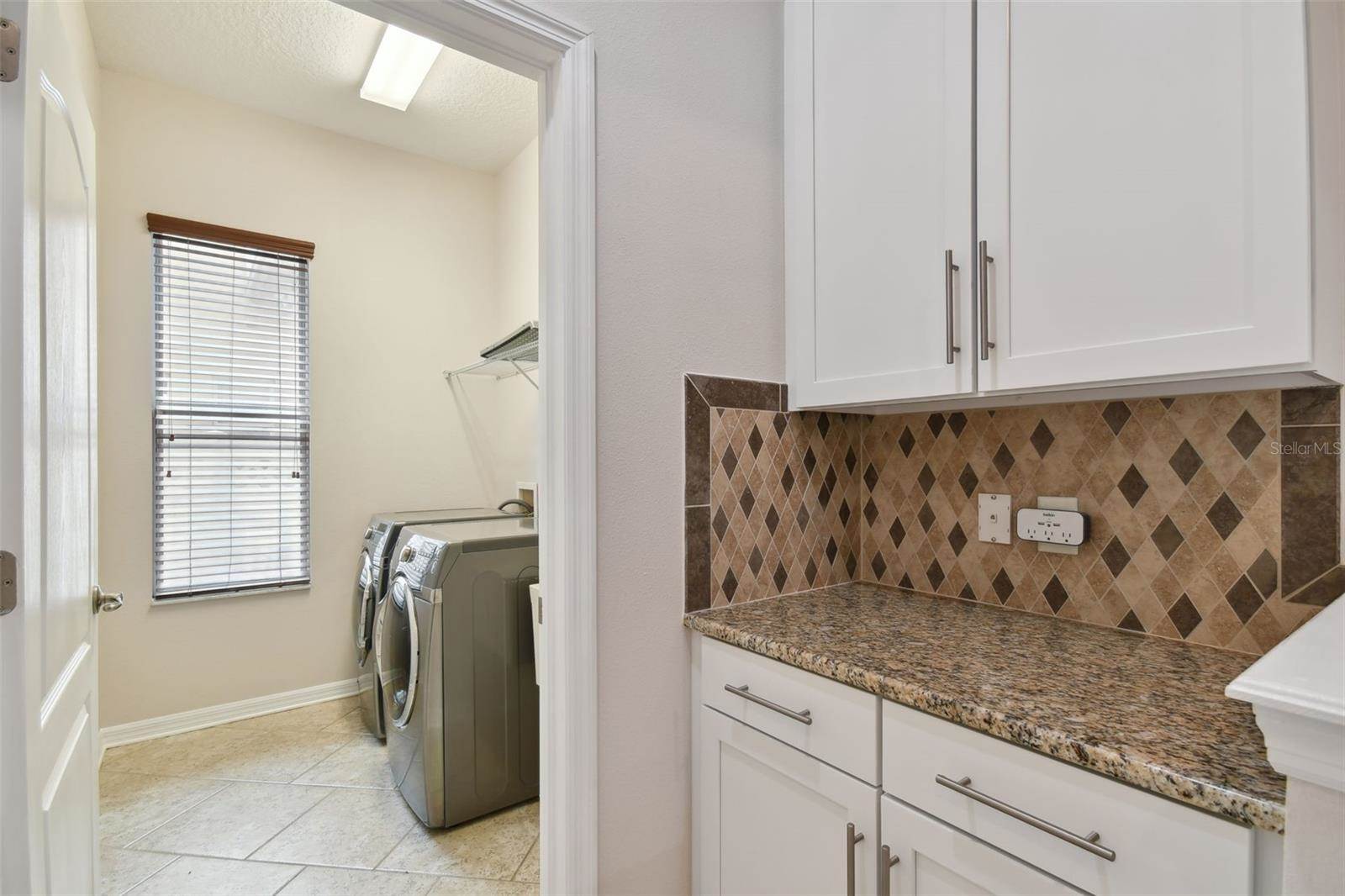 27806 Autumn Breeze Circle, Wesley Chapel, FL 33544