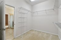 27806 Autumn Breeze Circle, Wesley Chapel, FL 33544