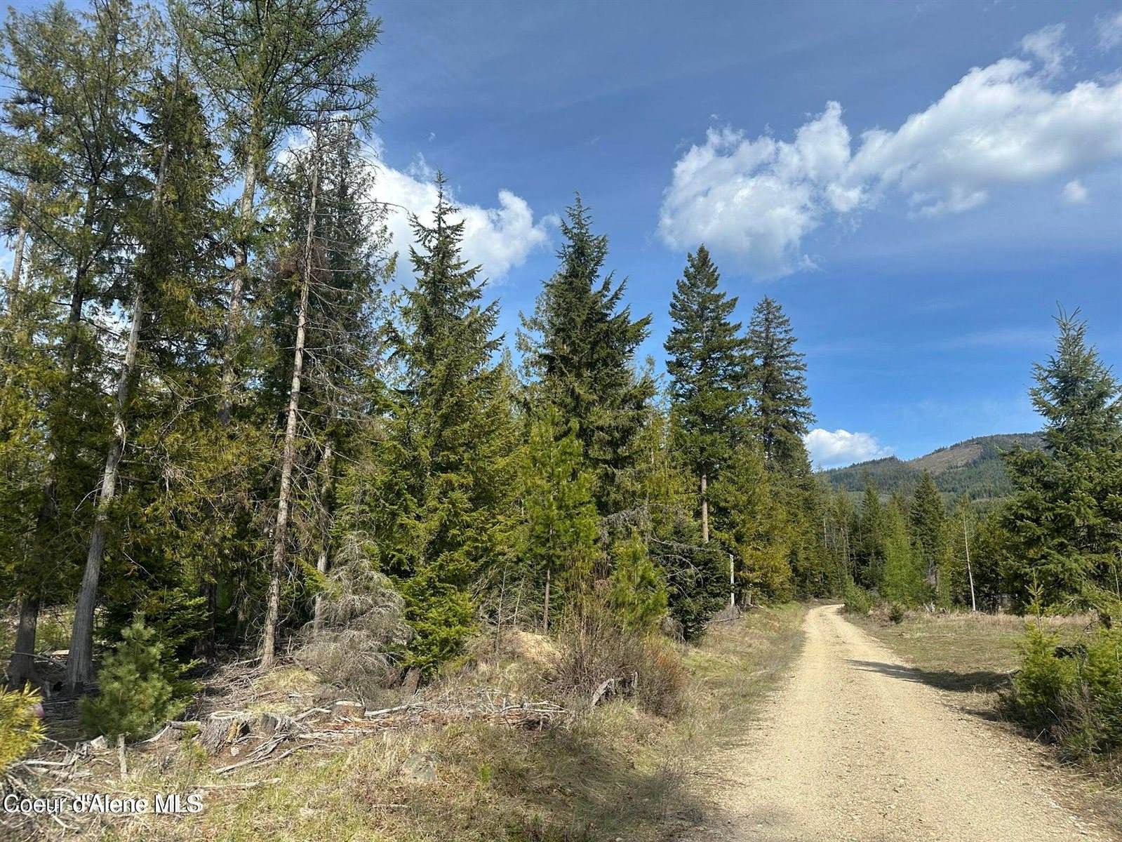 Nna Eastside Rd, Priest River, ID 83856