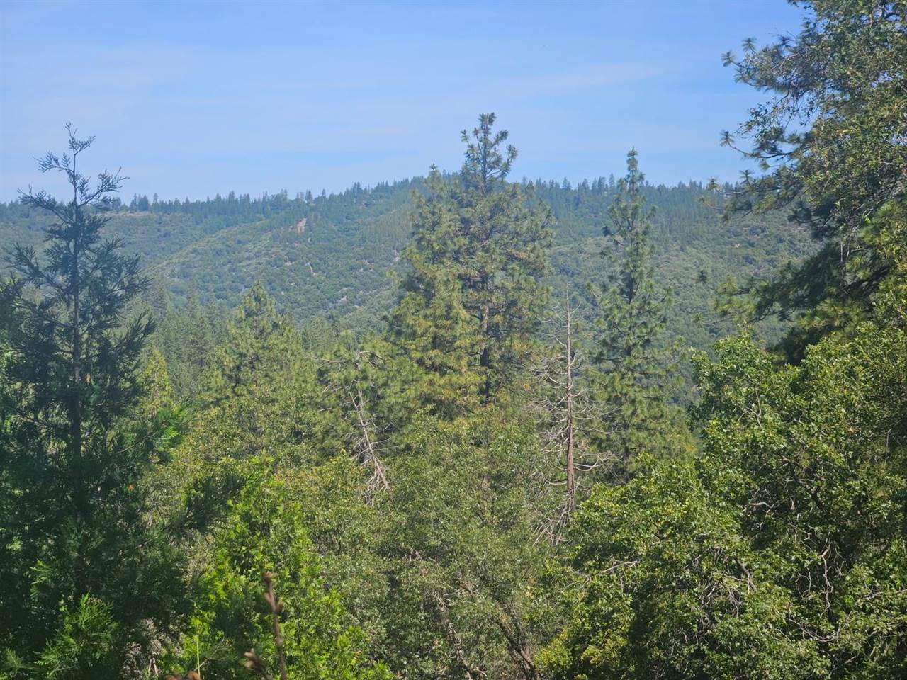 5148 Wylderidge Dr, Murphys, CA 95247