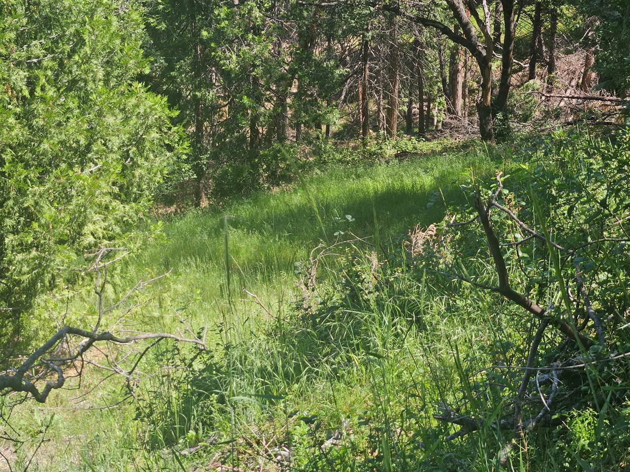 5148 Wylderidge Dr, Murphys, CA 95247