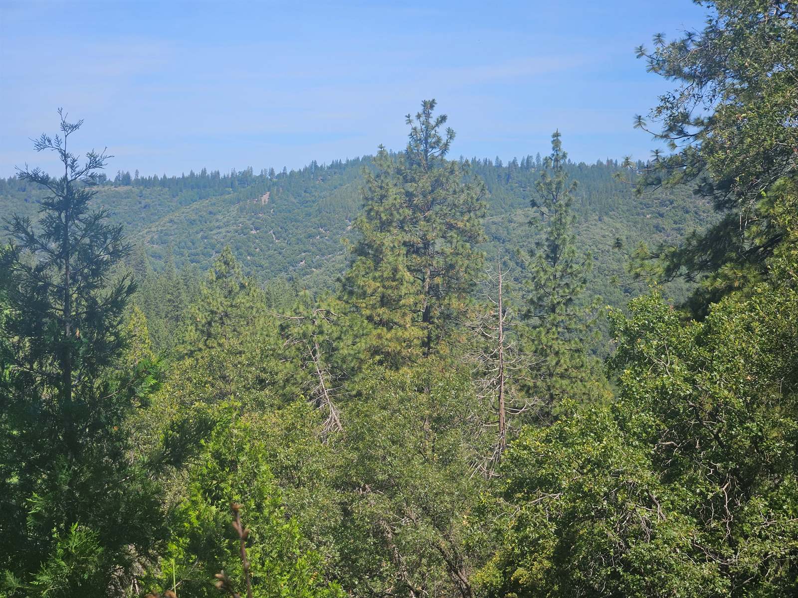 5148 Wylderidge Dr, Murphys, CA 95247