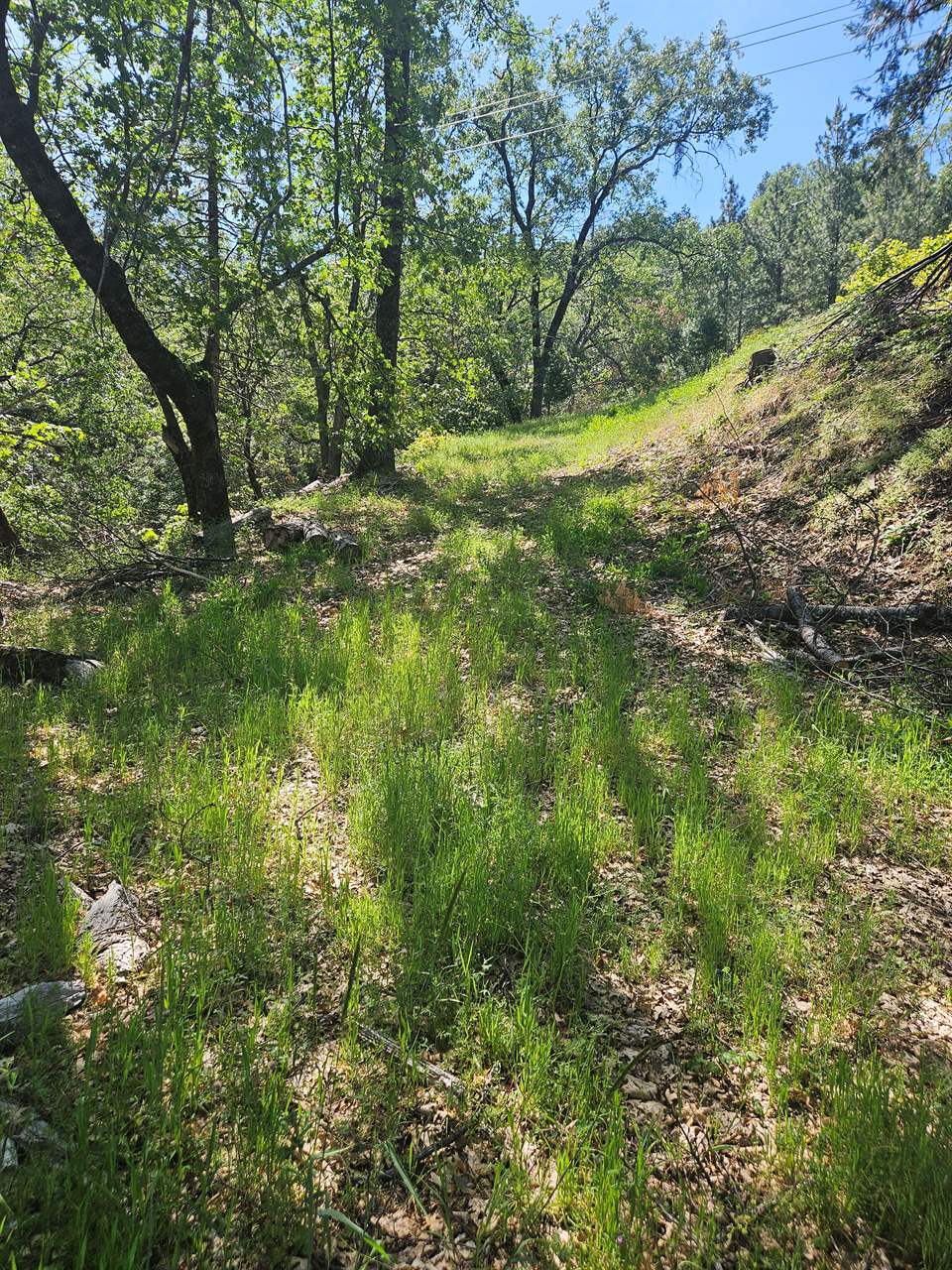 5148 Wylderidge Dr, Murphys, CA 95247