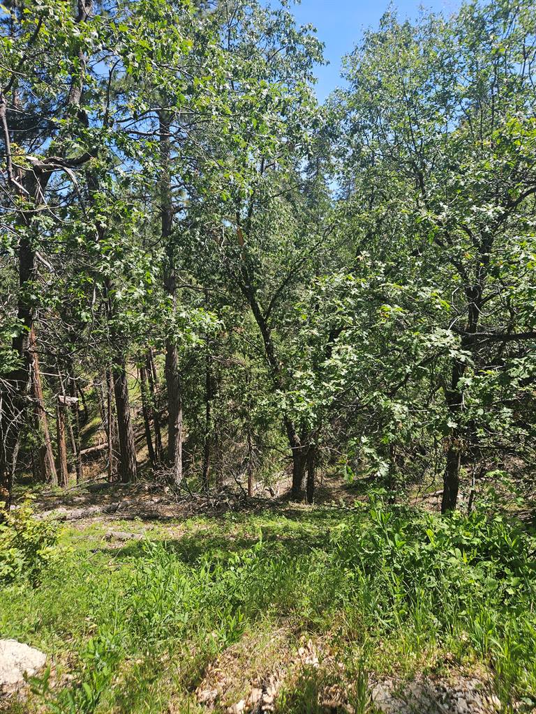 5148 Wylderidge Dr, Murphys, CA 95247