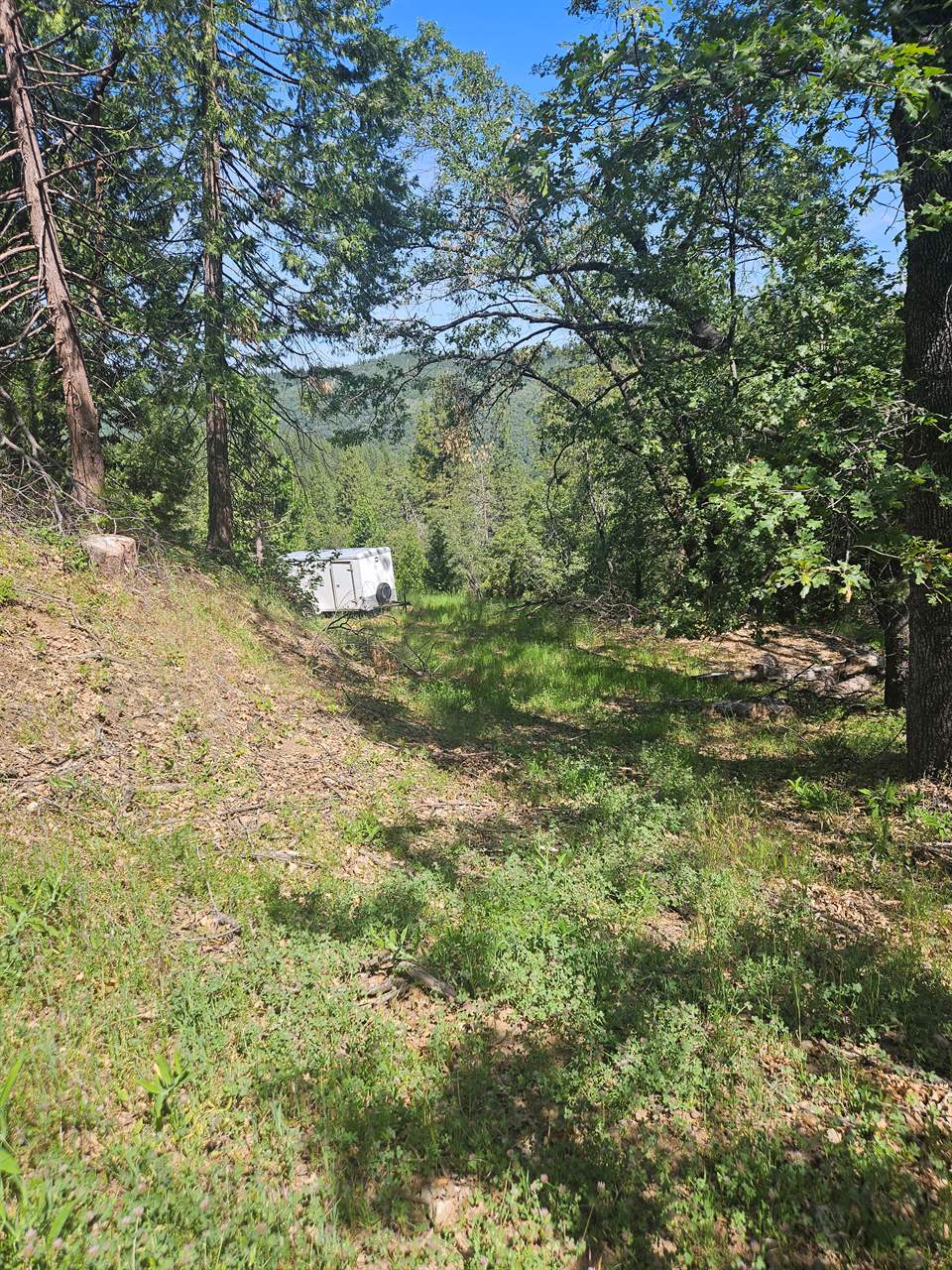 5148 Wylderidge Dr, Murphys, CA 95247