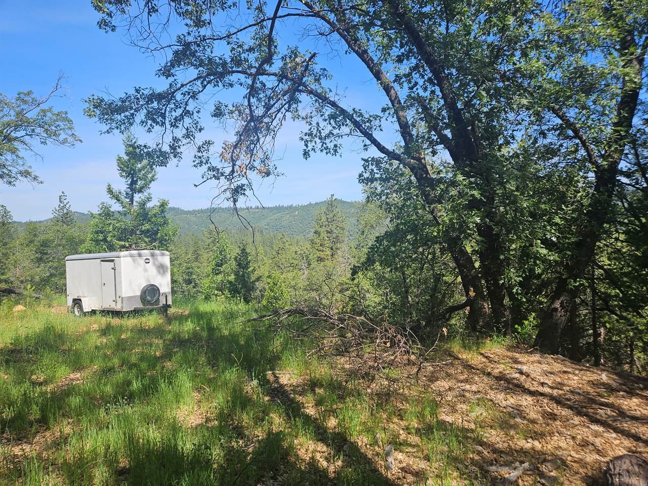 5148 Wylderidge Dr, Murphys, CA 95247