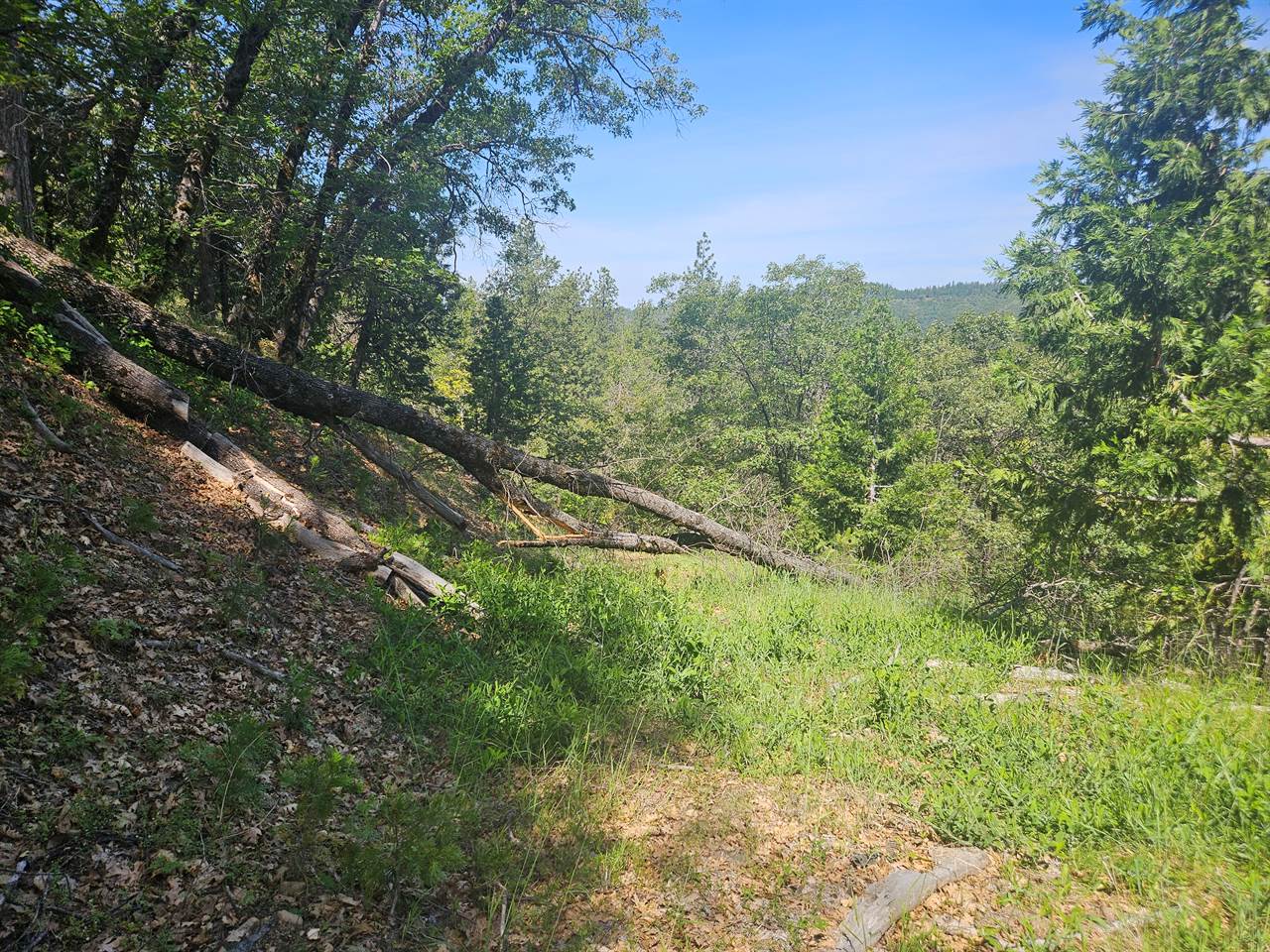 5148 Wylderidge Dr, Murphys, CA 95247