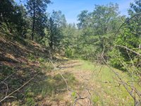 5148 Wylderidge Dr, Murphys, CA 95247