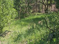 5148 Wylderidge Dr, Murphys, CA 95247