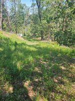 5148 Wylderidge Dr, Murphys, CA 95247