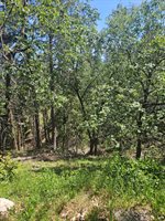 5148 Wylderidge Dr, Murphys, CA 95247