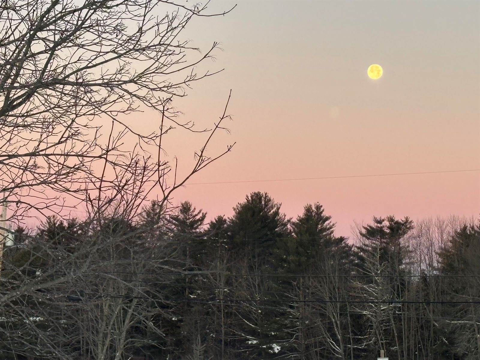 113 Stetson Road, Newport, ME 04953