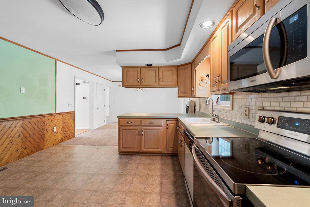 25509 Guinea Hollow Road, Millsboro, DE 19966