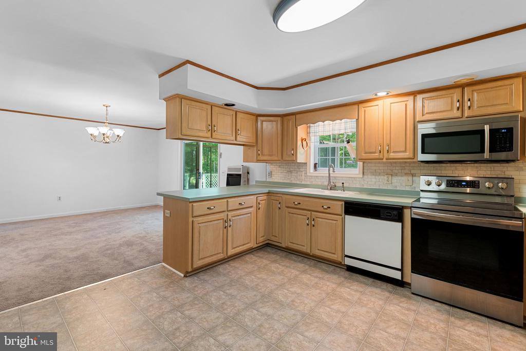 25509 Guinea Hollow Road, Millsboro, DE 19966