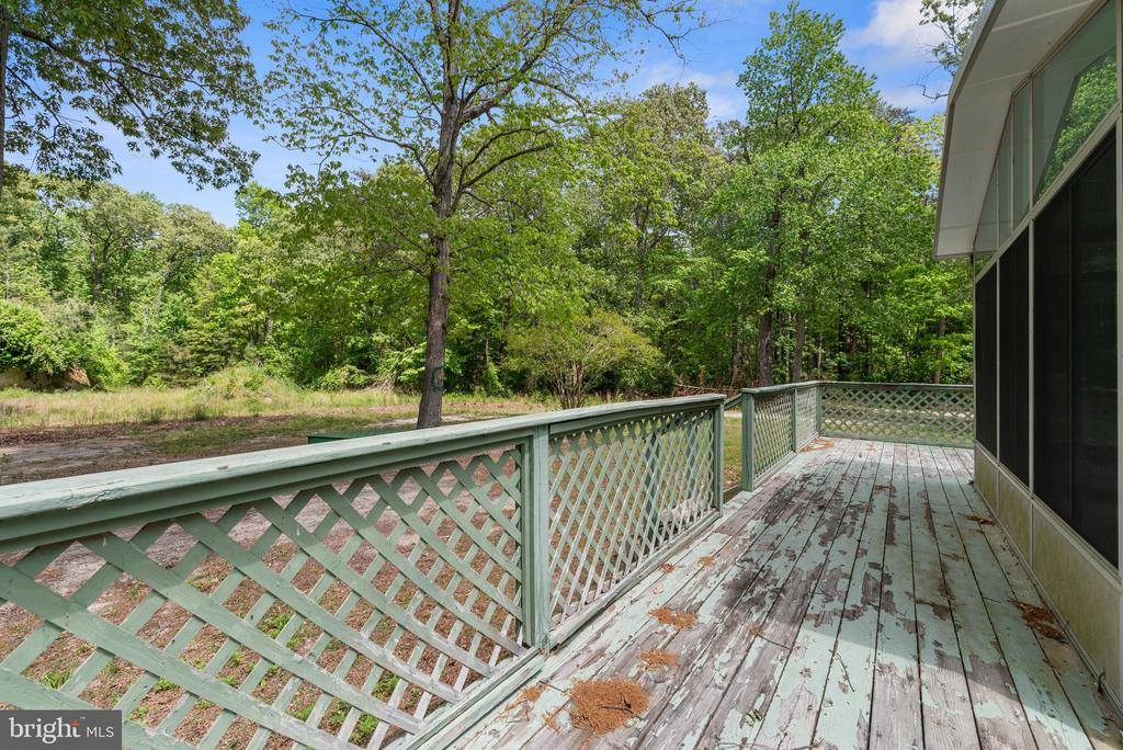25509 Guinea Hollow Road, Millsboro, DE 19966
