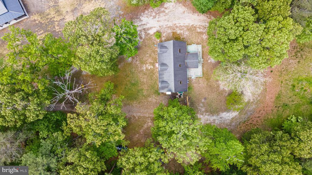 25509 Guinea Hollow Road, Millsboro, DE 19966