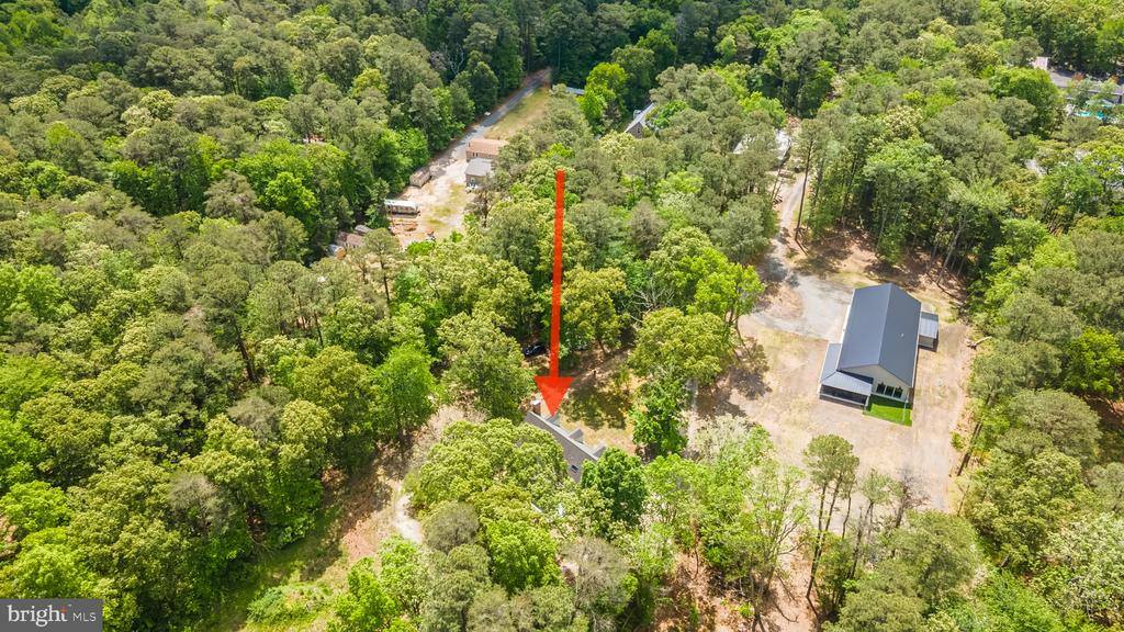 25509 Guinea Hollow Road, Millsboro, DE 19966