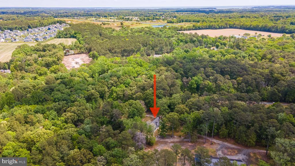 25509 Guinea Hollow Road, Millsboro, DE 19966