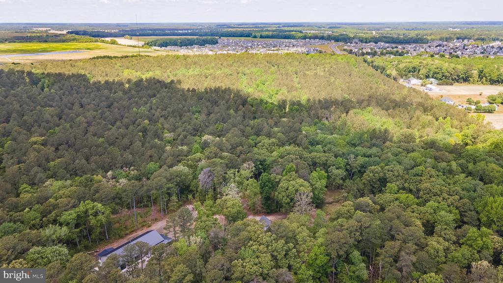 25509 Guinea Hollow Road, Millsboro, DE 19966