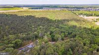 25509 Guinea Hollow Road, Millsboro, DE 19966