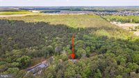 25509 Guinea Hollow Road, Millsboro, DE 19966