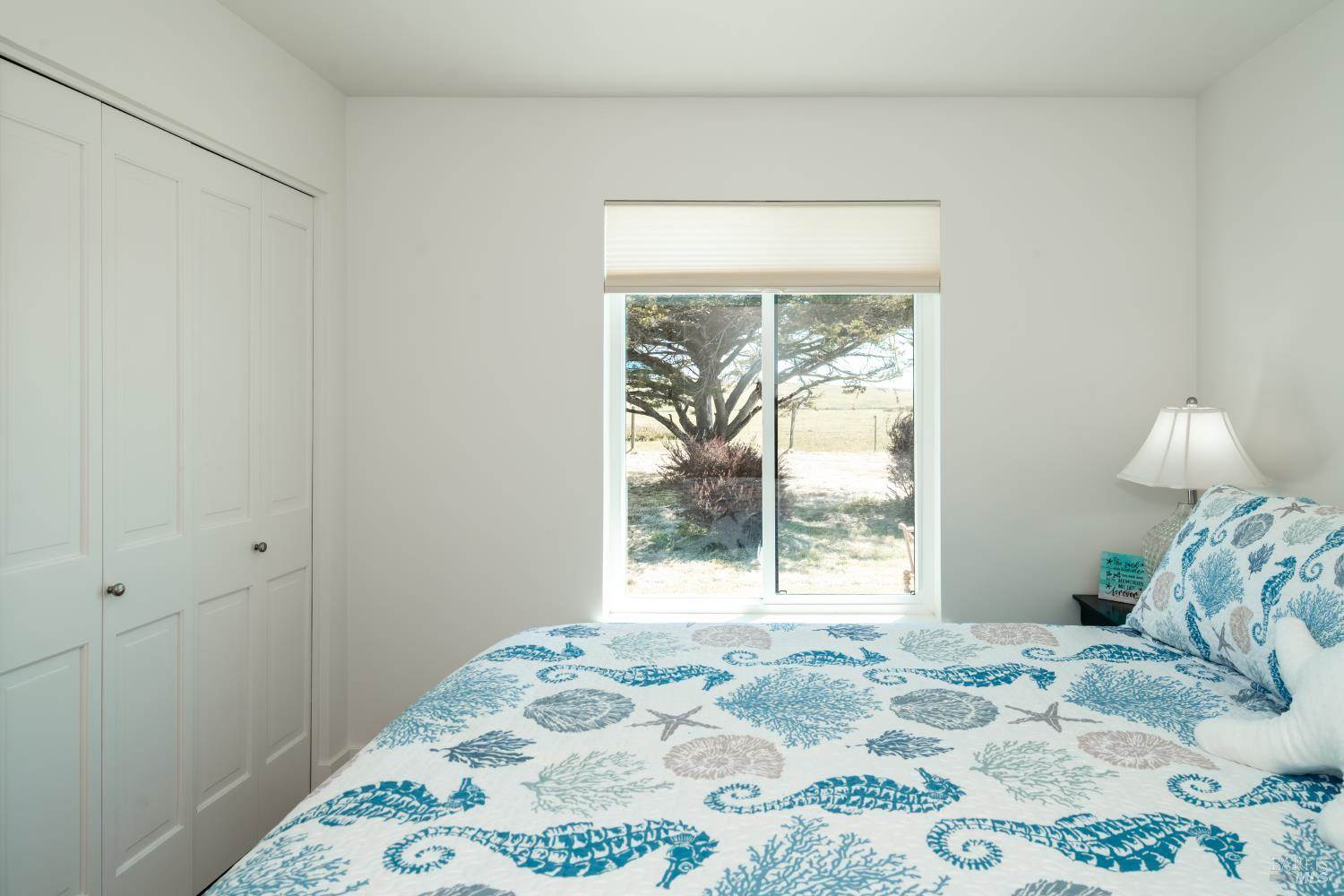 476 Oceana Drive, Dillon Beach, CA 94929