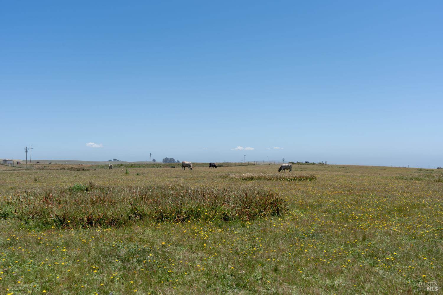 476 Oceana Drive, Dillon Beach, CA 94929