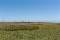 476 Oceana Drive, Dillon Beach, CA 94929