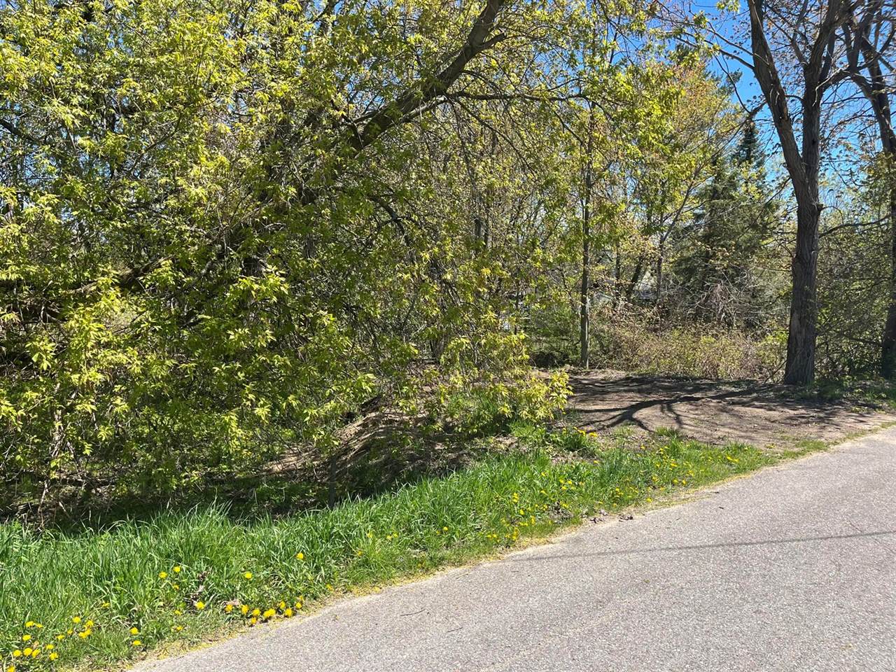 Lot 122 Carman Avenue, Houghton Lake, MI 48629