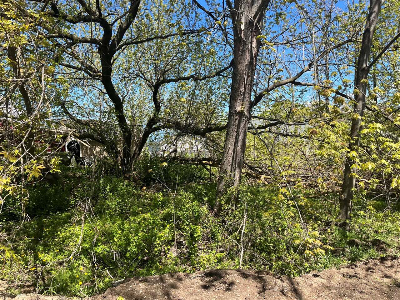 Lot 122 Carman Avenue, Houghton Lake, MI 48629