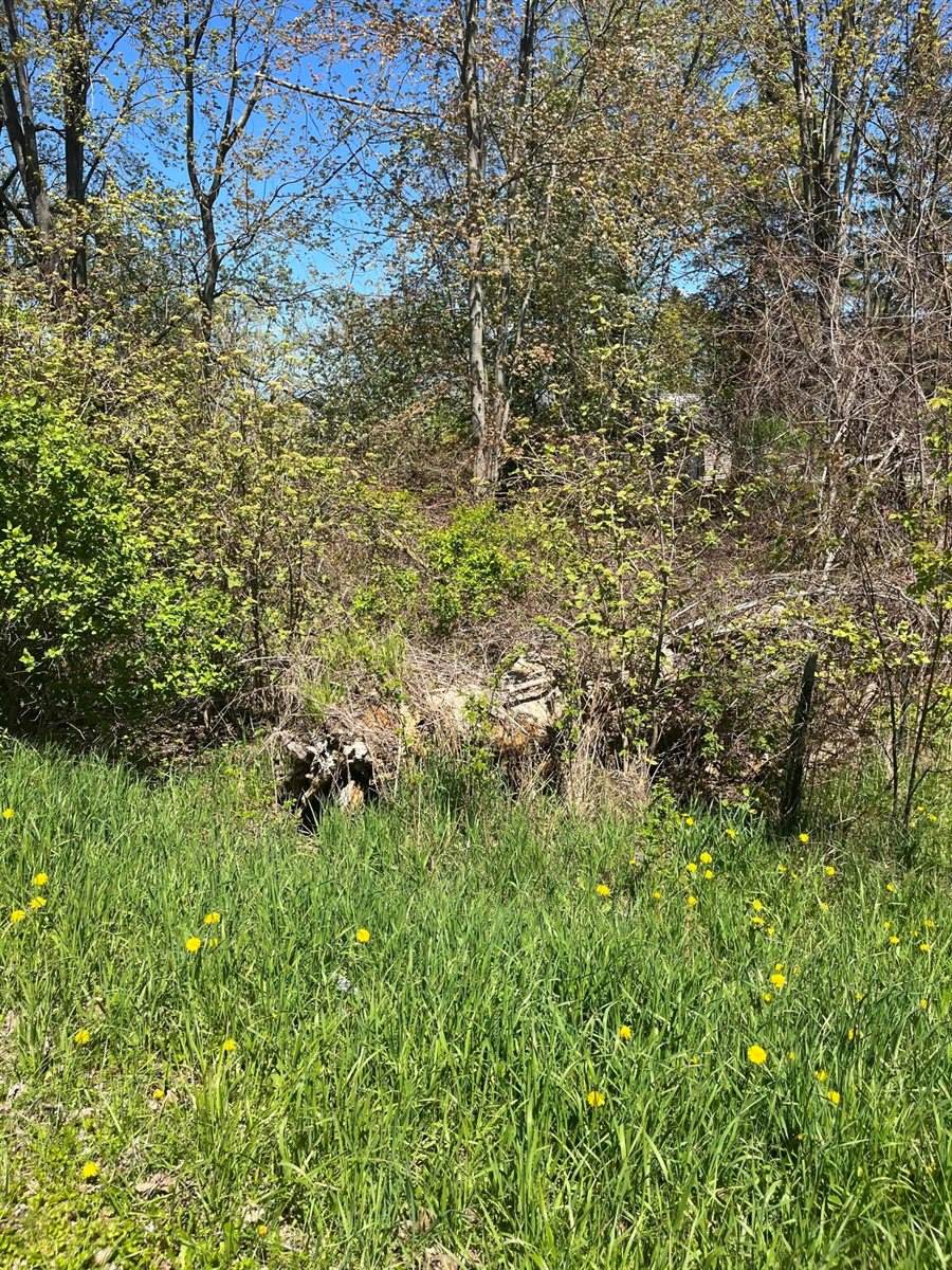 Lot 122 Carman Avenue, Houghton Lake, MI 48629