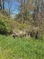 Lot 122 Carman Avenue, Houghton Lake, MI 48629