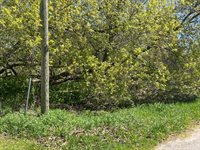 Lot 122 Carman Avenue, Houghton Lake, MI 48629