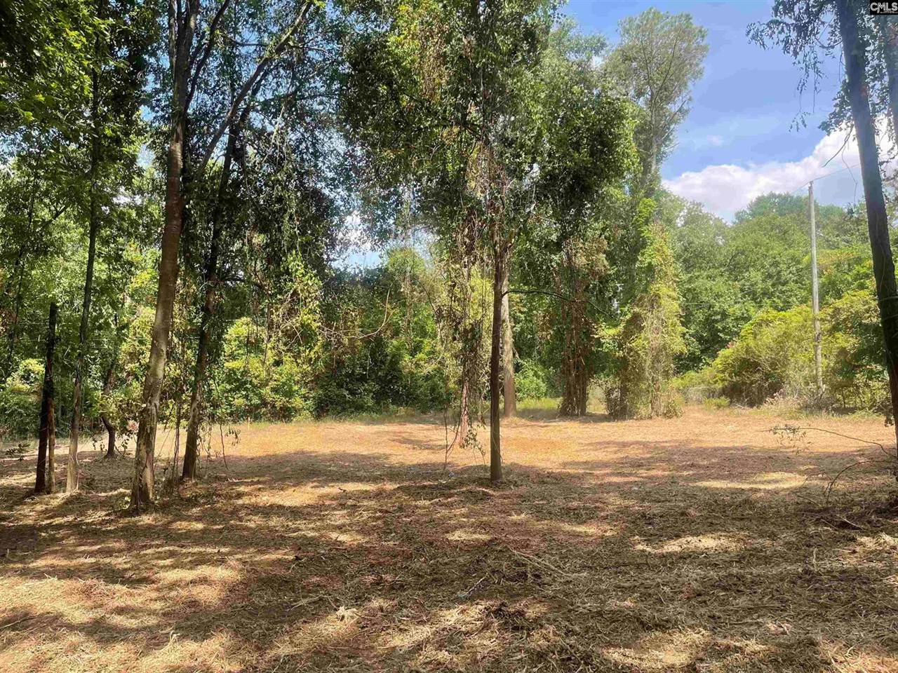 2 Blue Ridge, West Columbia, SC 29170