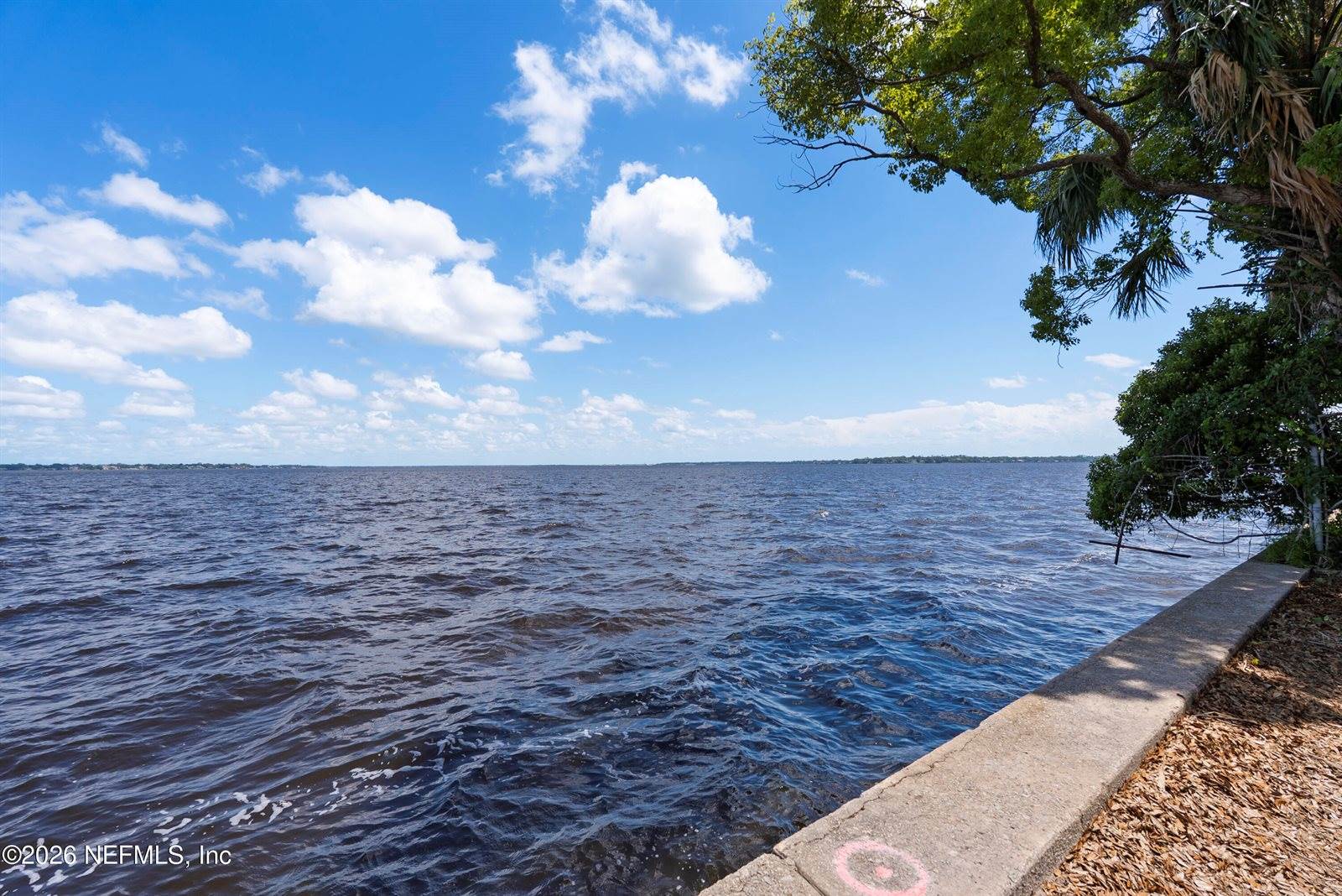 2909 St Johns Avenue, Jacksonville, FL 32205