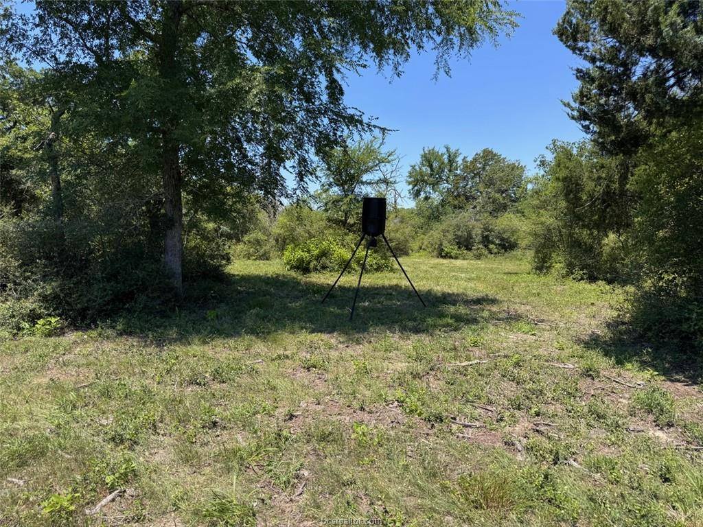 3454 Co Rd 426, Marquez, TX 77865