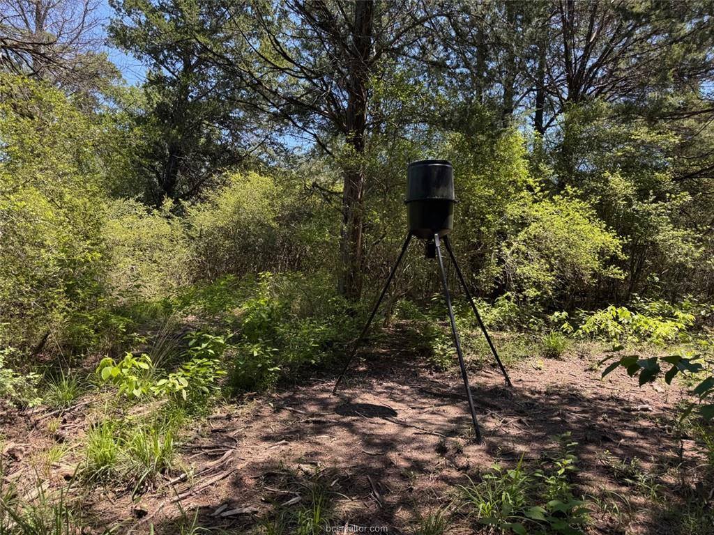 3454 Co Rd 426, Marquez, TX 77865