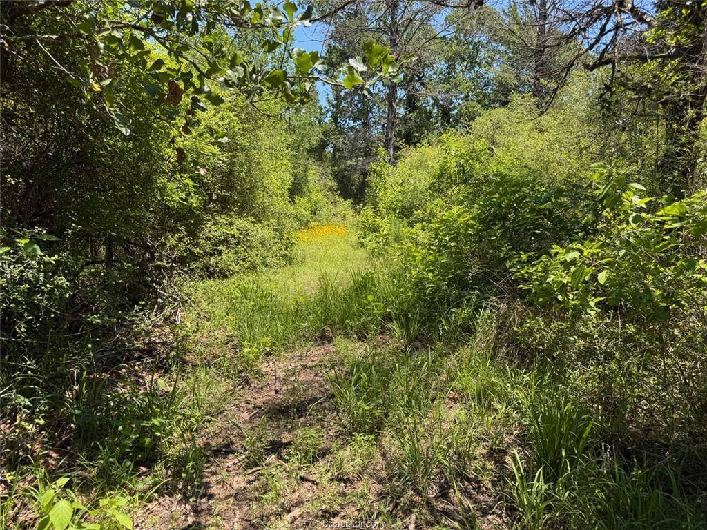 3454 Co Rd 426, Marquez, TX 77865